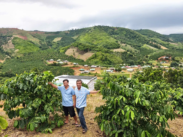 SIÊU PHẨM 15HA VIEW ĐẸP HIẾM – FULL CÂY TRÁI + CAFE – LÀM FARM STAY CỰC ĐỈNH. 15989684