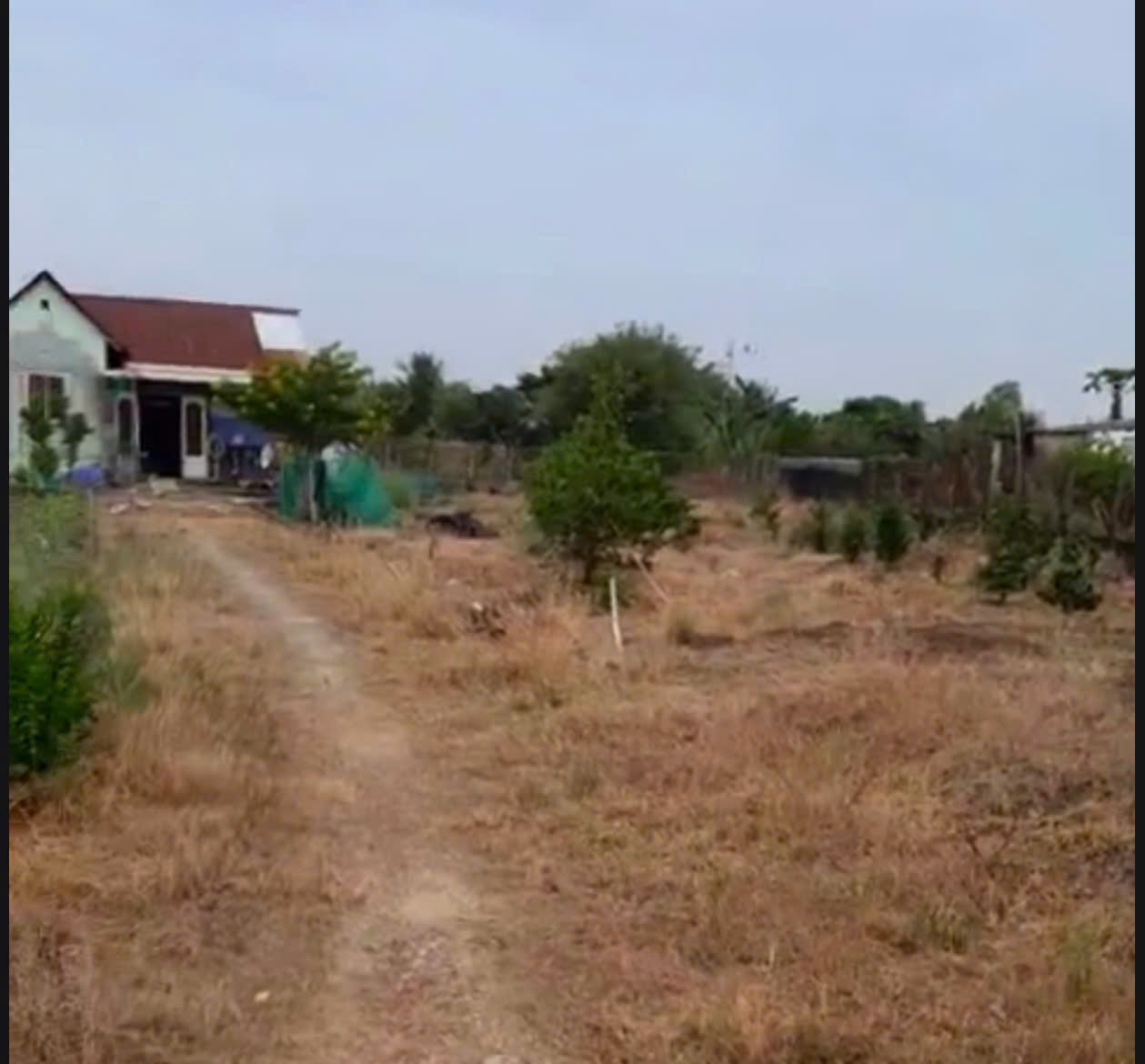 Bán đất thổ vườn đường Lộ Dừa giá 5,3 tỷ 15989783