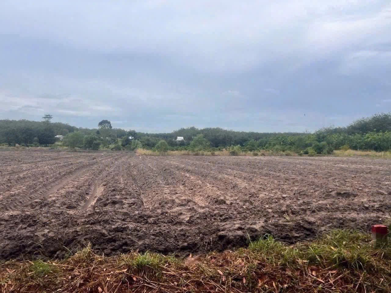 🔥 CẦN BÁN NHANH Đất Minh Thạnh ngang 10m, cách DT749A chỉ 200m, giá rẻ nhất xã 15989980