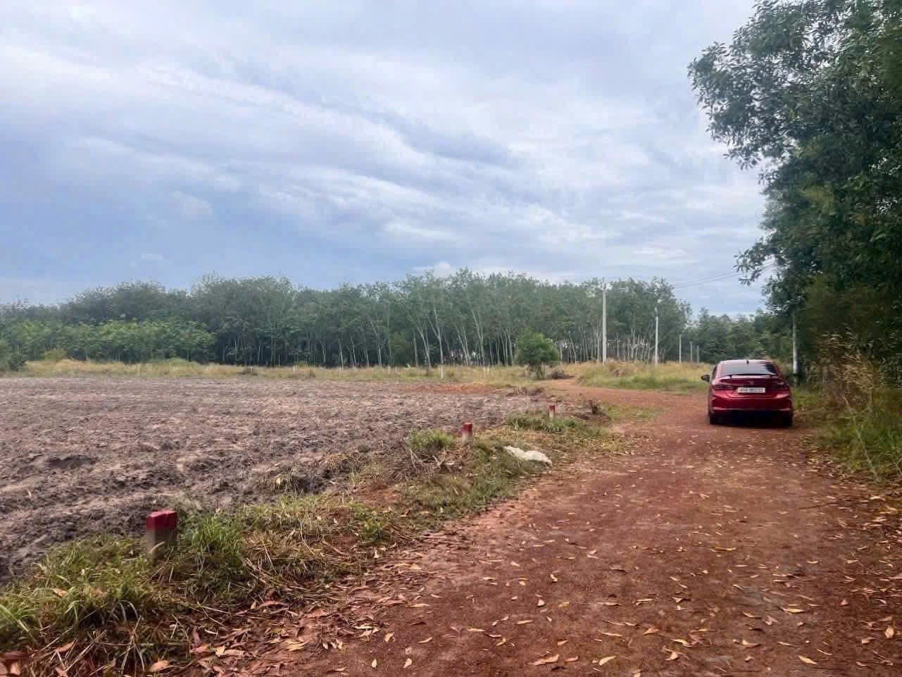 🔥 CẦN BÁN NHANH Đất Minh Thạnh ngang 10m, cách DT749A chỉ 200m, giá rẻ nhất xã 15989980