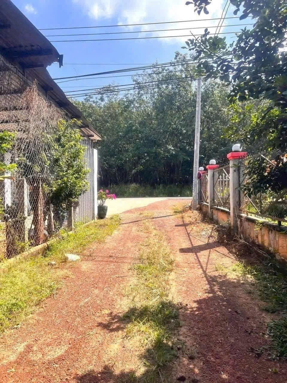 🔥 CẦN BÁN NHANH Đất Minh Thạnh ngang 10m, cách DT749A chỉ 200m, giá rẻ nhất xã 15989980