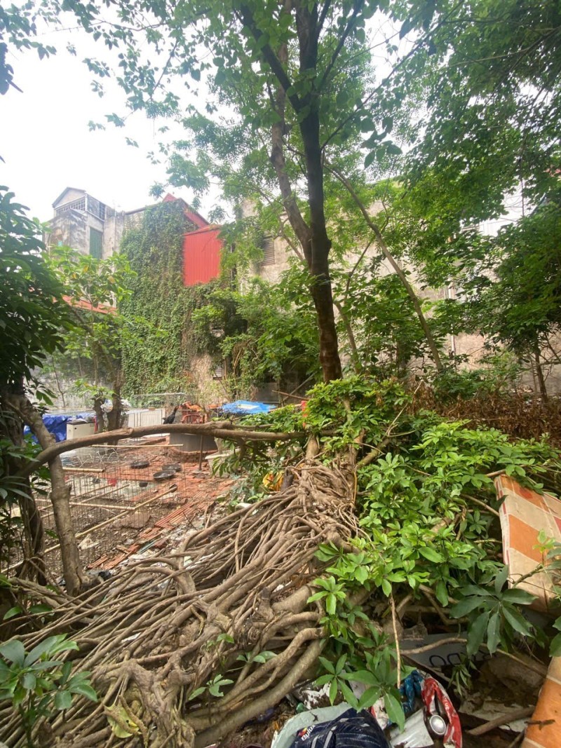 BỒ ĐỀ LONG BIÊN – ĐẤT 184.3M² – MẶT TIỀN 10M – GIÁ 29.5 TỶ 15990030