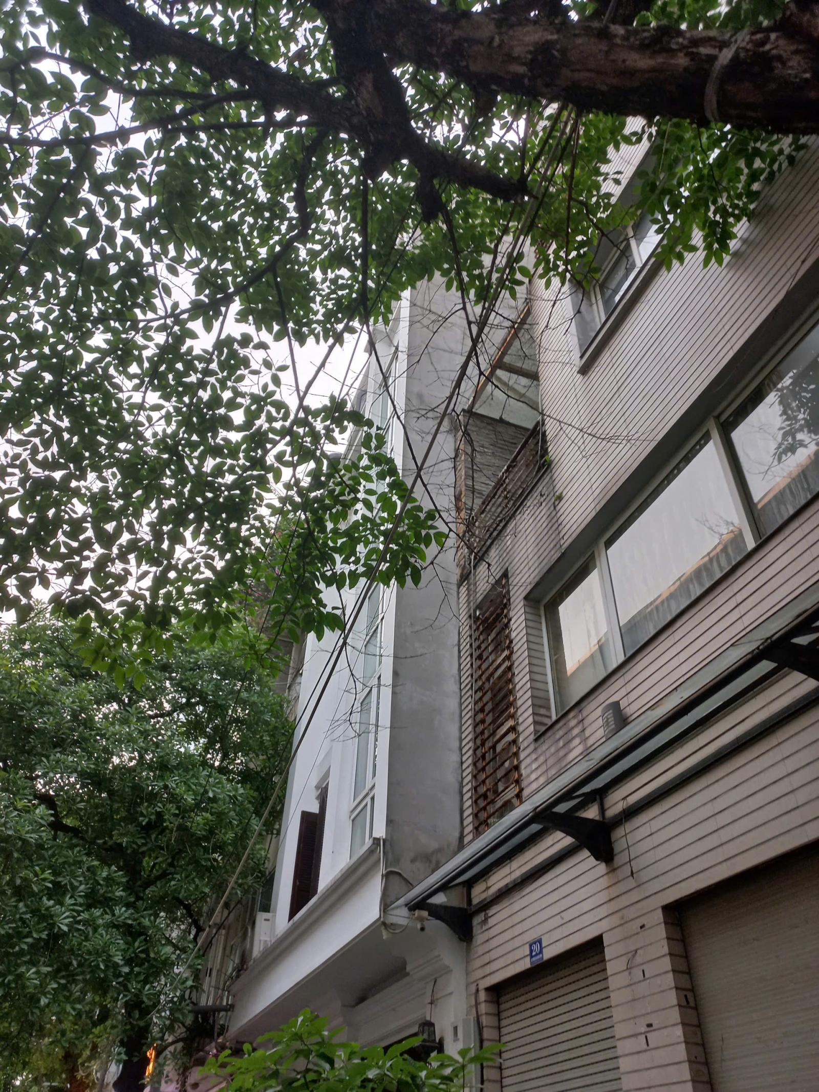 🔥 Cho thuê nhà phân lô phố Nguyễn Thị Thập, Trung Hòa Nhân Chính giá rẻ 🔥 15990046