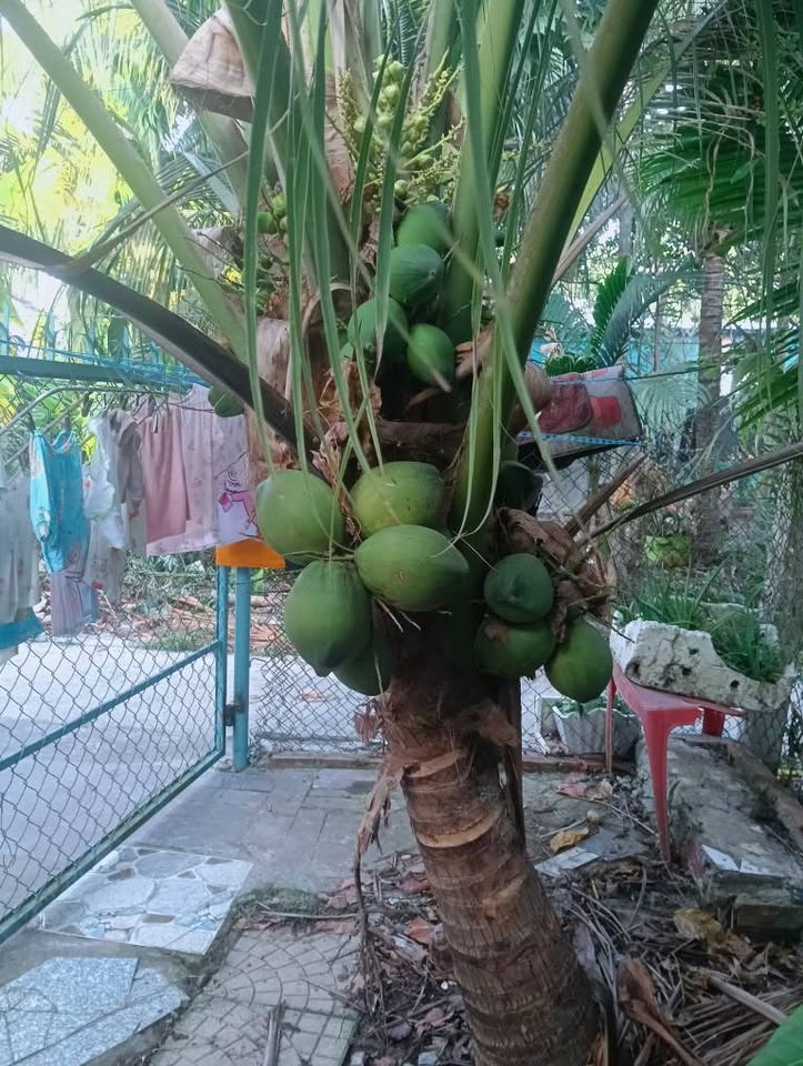 Do đổi chỗ ở nên cần bán nhanh nhà và đất tại Tân Thạch - Gần ngã tư huyện - Tặng nội thất 15990064