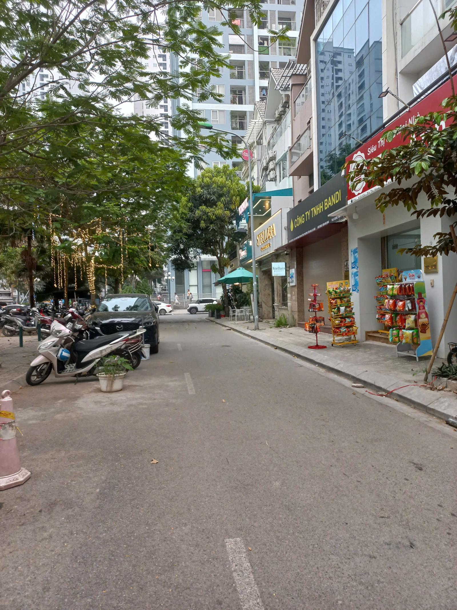 🔥 Cho thuê nhà phân lô mặt vườn hoa khu A10 phố Nguyễn Chánh giá rẻ 🔥 15990067