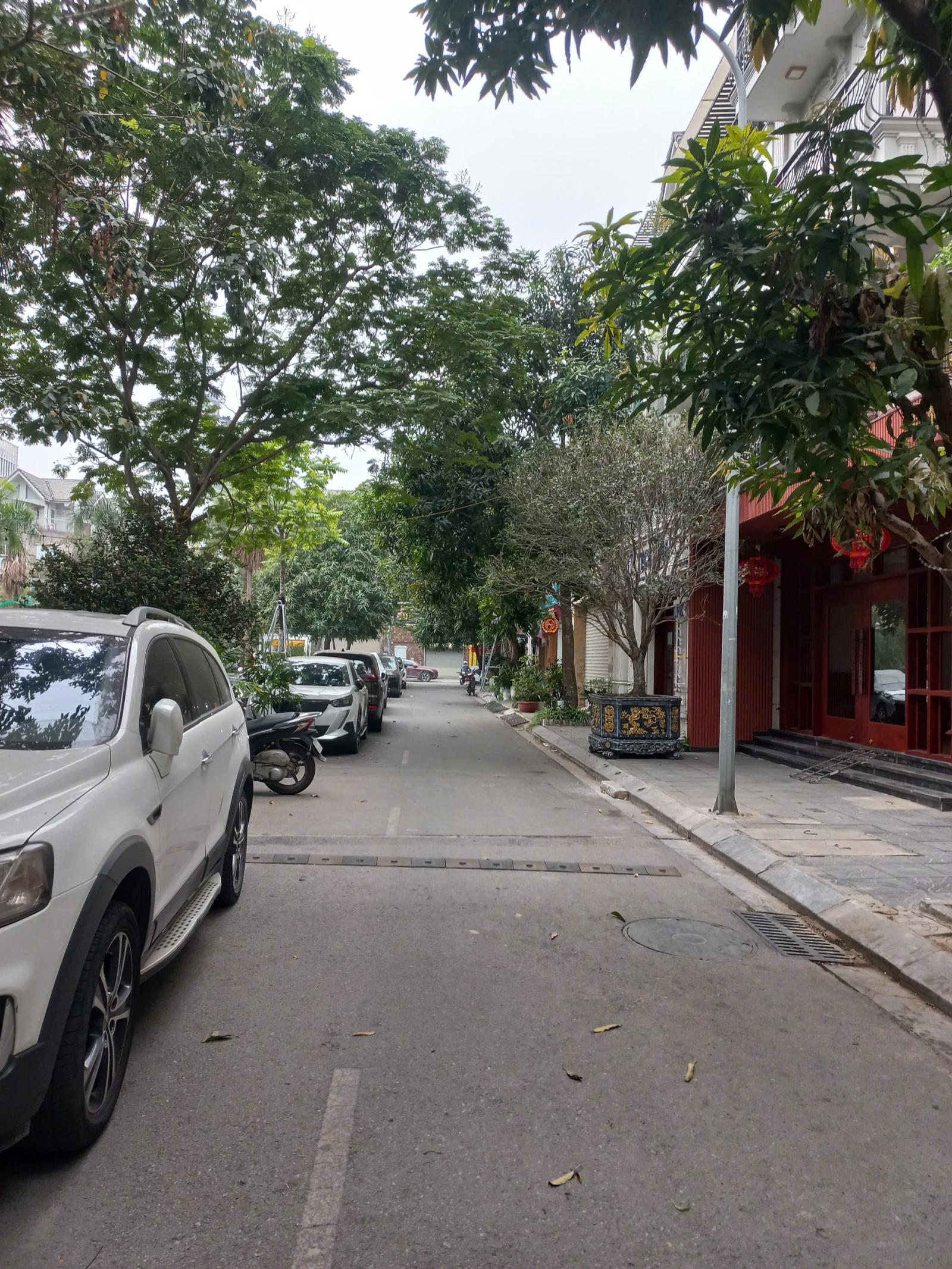 🔥 Cho thuê nhà phân lô mặt vườn hoa khu A10 phố Nguyễn Chánh giá rẻ 🔥 15990067