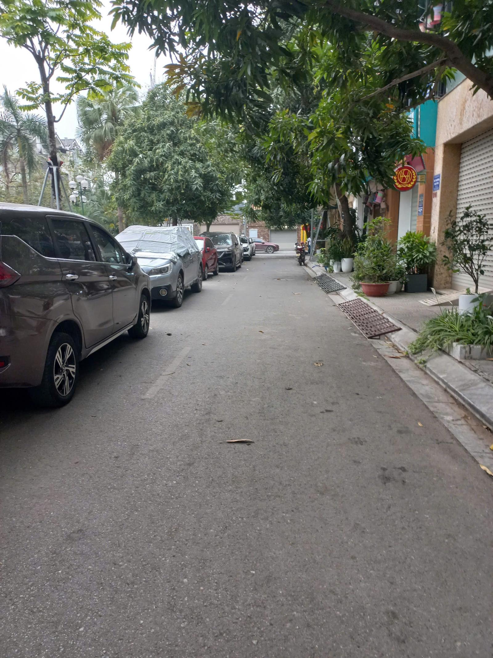 🔥 Cho thuê nhà phân lô mặt vườn hoa khu A10 phố Nguyễn Chánh giá rẻ 🔥 15990067