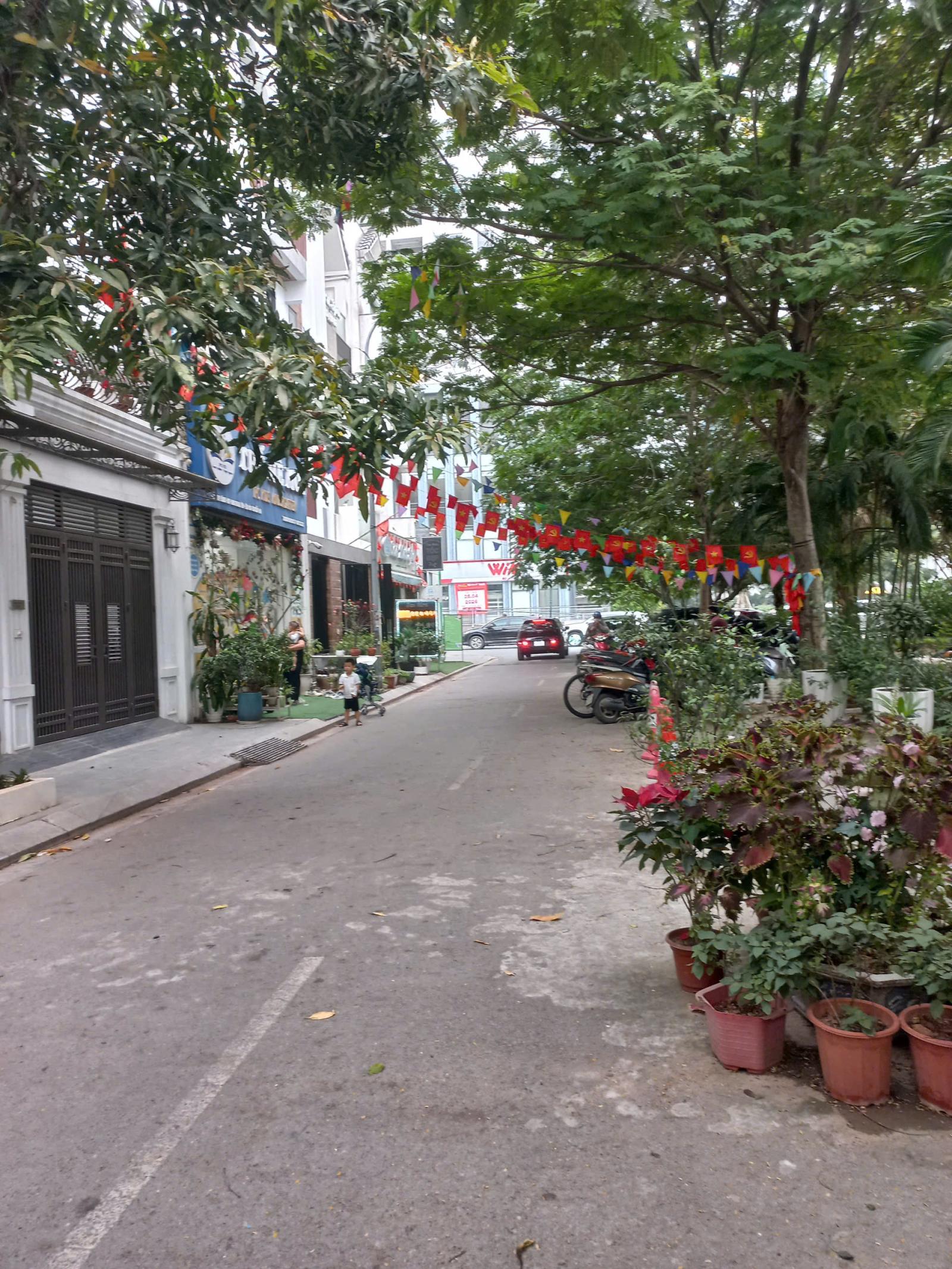 🔥 Cho thuê nhà phân lô mặt vườn hoa khu A10 phố Nguyễn Chánh giá rẻ 🔥 15990067