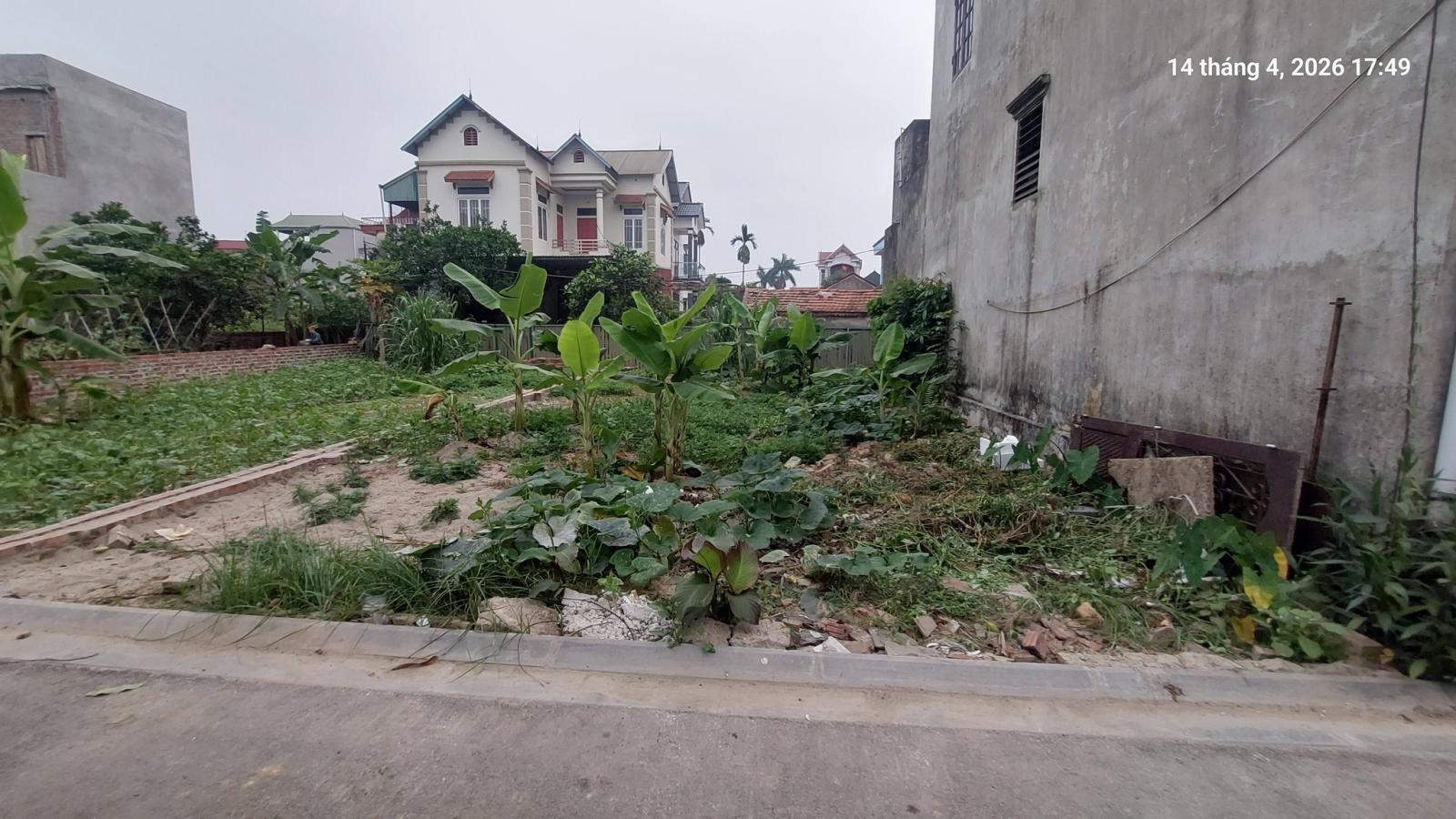 Đất Xuân Nộn, còn 1 lô, 96m2, mt6.5m, ô tô, 5.3 tỷ, Đông Anh. 15990080