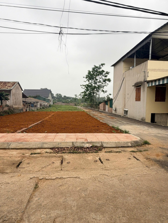 cắt lỗ bán đất tái định cư Bắc Phú Cát gía chỉ nhỉnh 8 tỷ 15990086