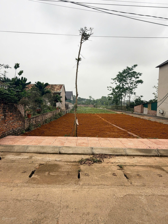 cắt lỗ bán đất tái định cư Bắc Phú Cát gía chỉ nhỉnh 8 tỷ 15990086