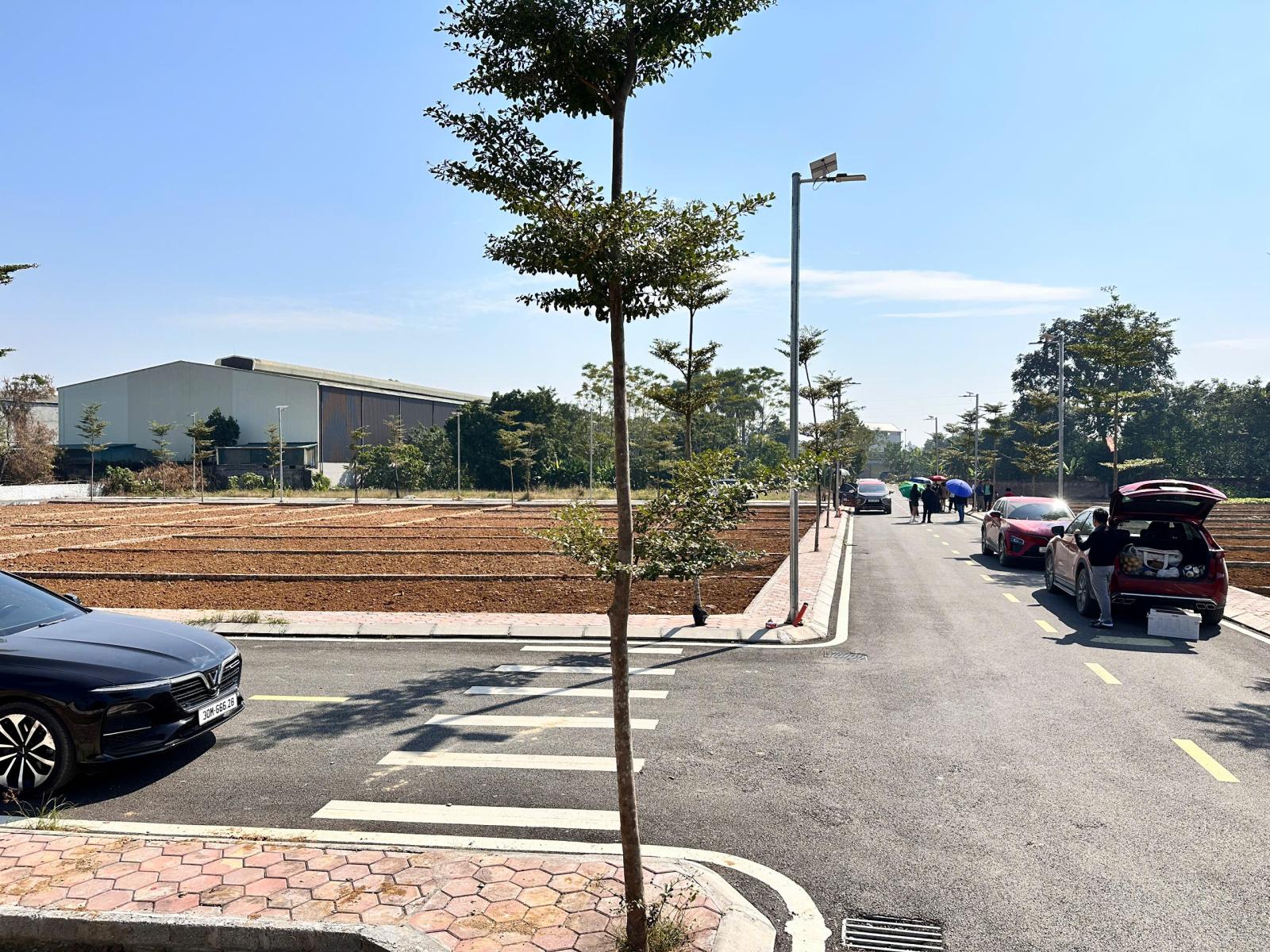 Đất nền Hòa Lạc giá rẻ 15990124