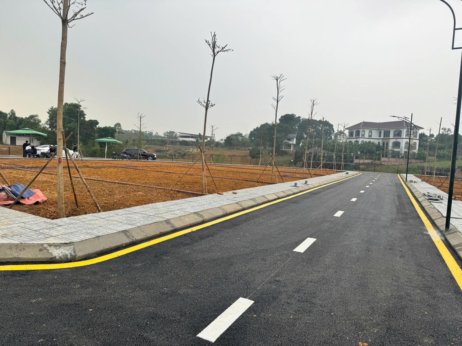 Đất nền Hòa Lạc giá rẻ 15990124