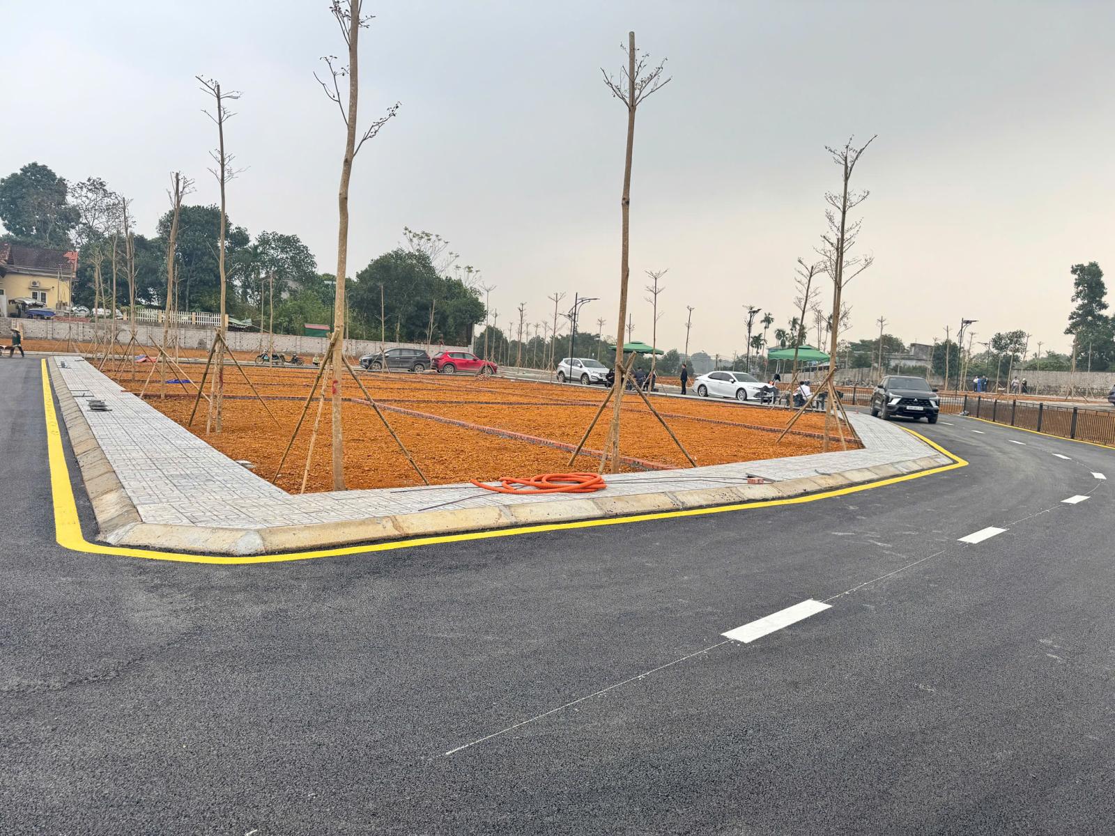 Đất nền Hòa Lạc giá rẻ 15990124