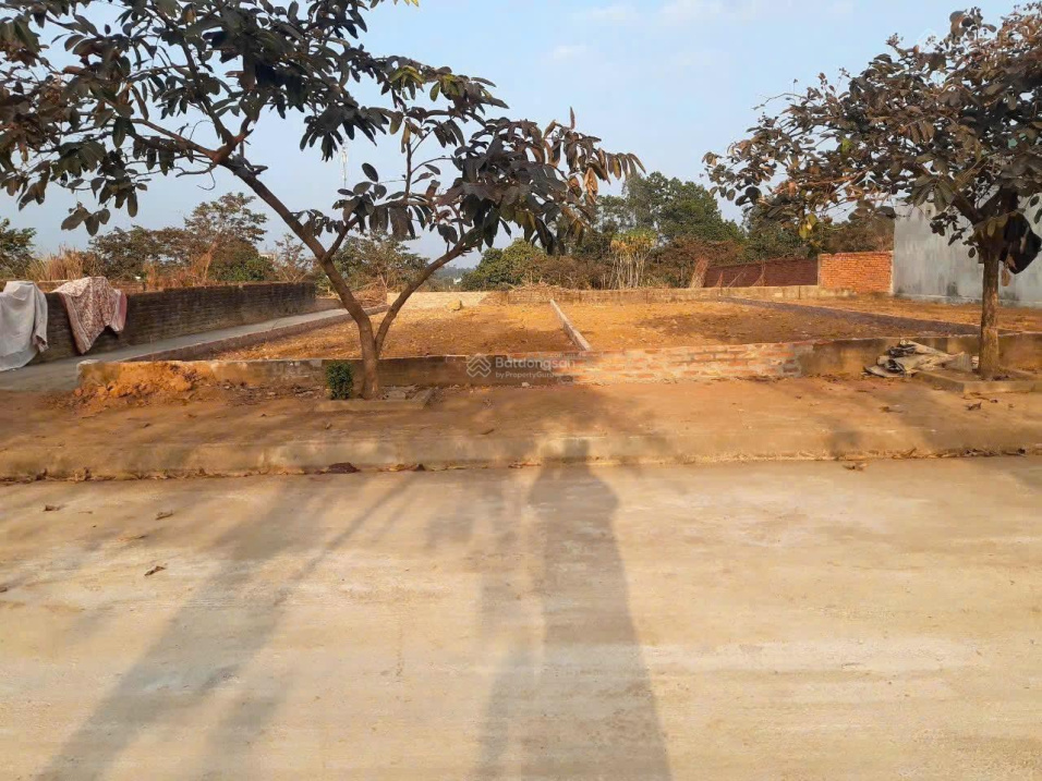 ngộp bank bán gấp khu tái định cư Vai Réo, Xã Phú Cát, Hà Nội,  diện tích 117m2 15990134