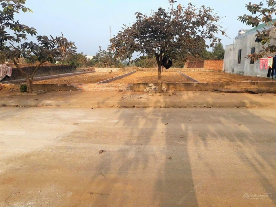 ngộp bank bán gấp khu tái định cư Vai Réo, Xã Phú Cát, Hà Nội,  diện tích 117m2 15990134