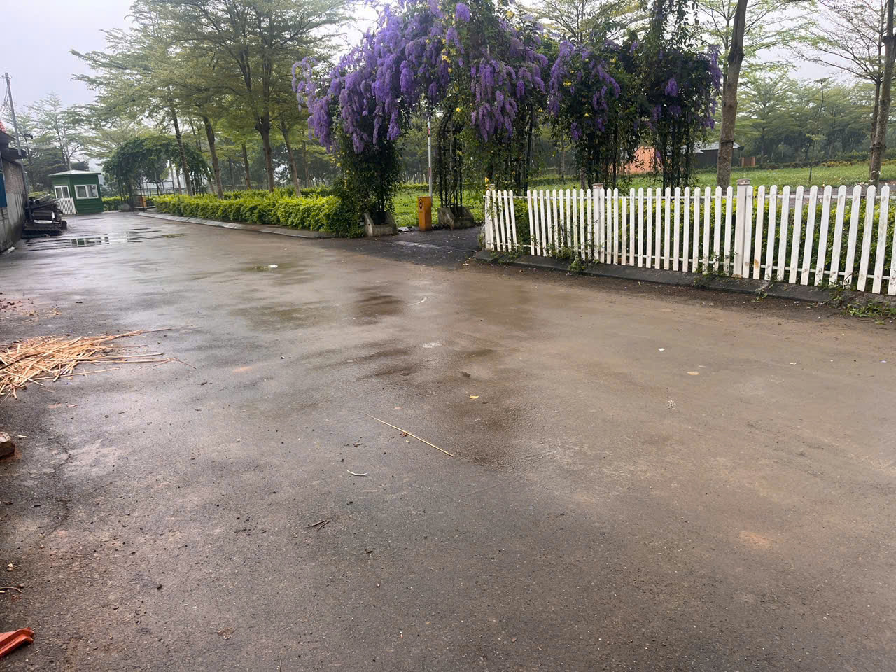 MUA LÀ THẮNG -SAI MÌNH ĐỀN. 15990148