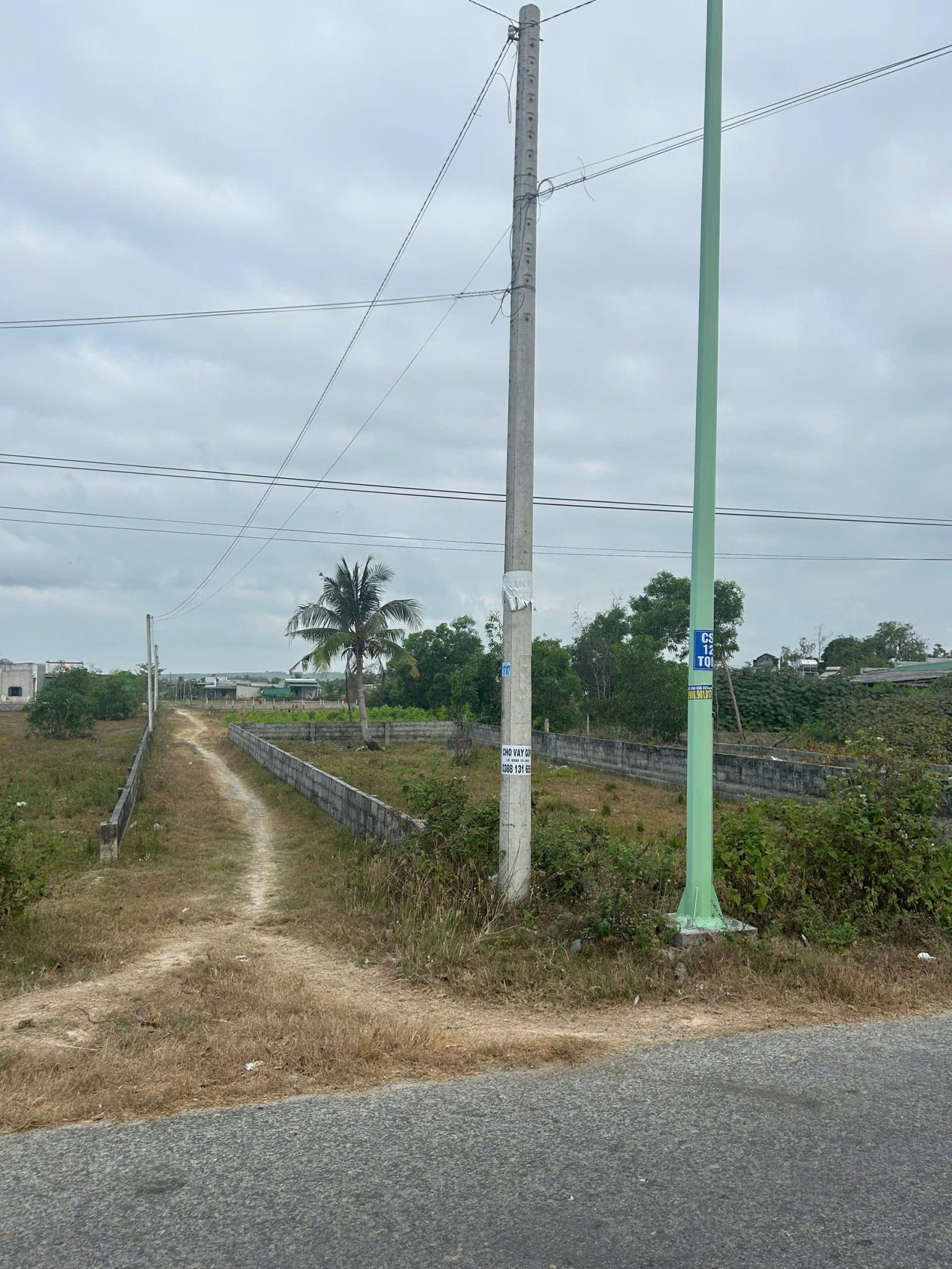 Bán 10m x 25.6m đất thổ cư Trần Quang Diệu, Phước Hội, LaGi giá rẻ gần biển 15990151