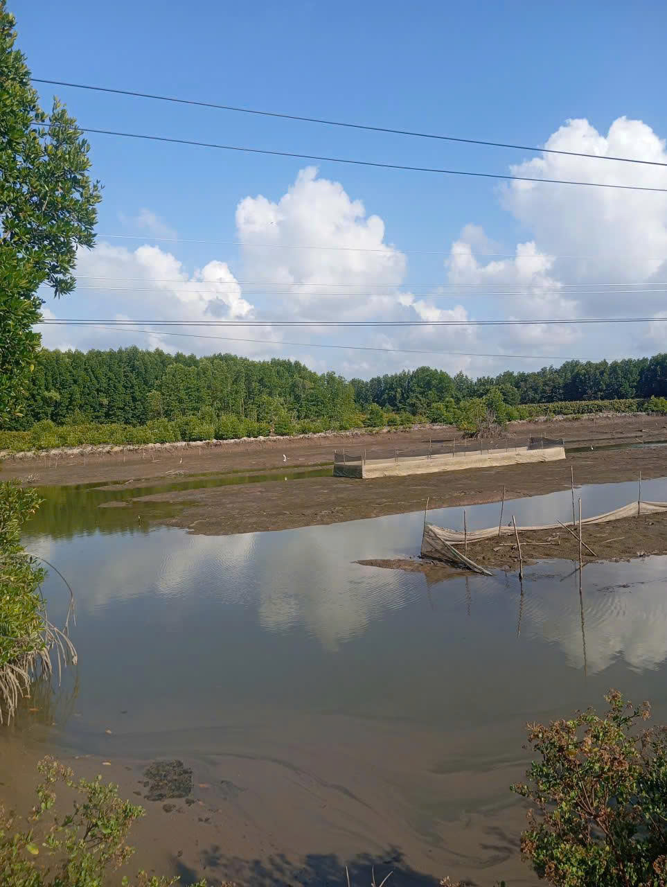 CHÍNH CHỦ CẦN BÁN 2 MẢNH ĐẤT CÓ VỊ TRÍ ĐẸP TẠI CÀ MAU 15990167