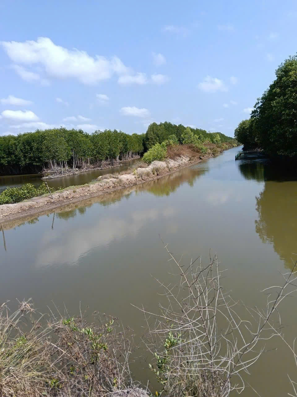 CHÍNH CHỦ CẦN BÁN 2 MẢNH ĐẤT CÓ VỊ TRÍ ĐẸP TẠI CÀ MAU 15990167