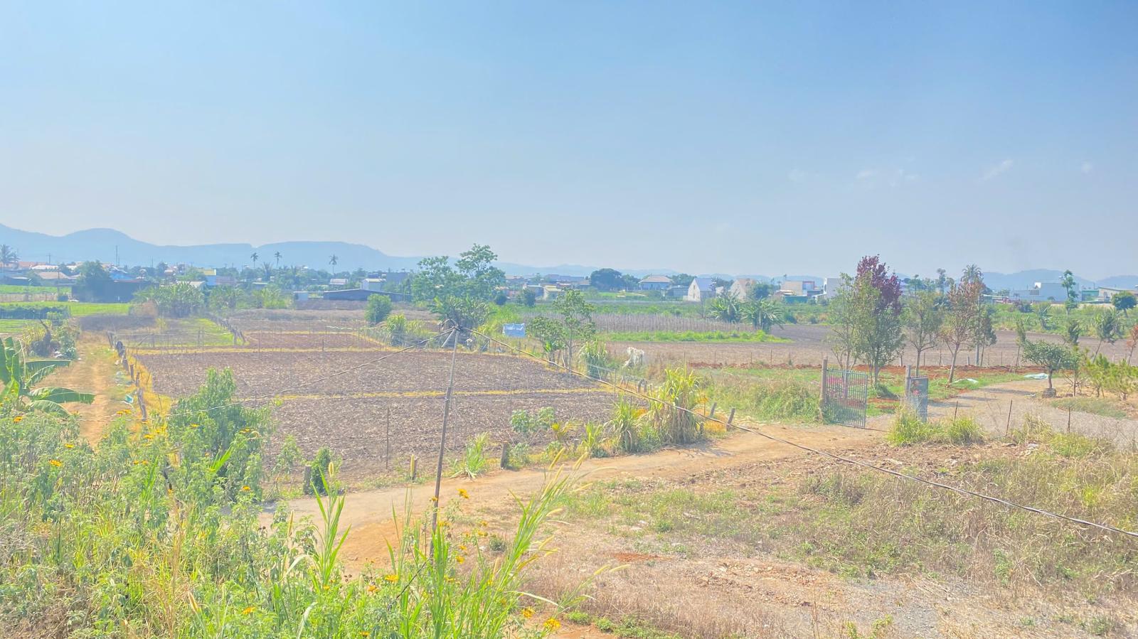 Đất mặt tiền DH3, liên nghĩa, đức trọng, lâm đồng, gần hồ nam sơn 15990200