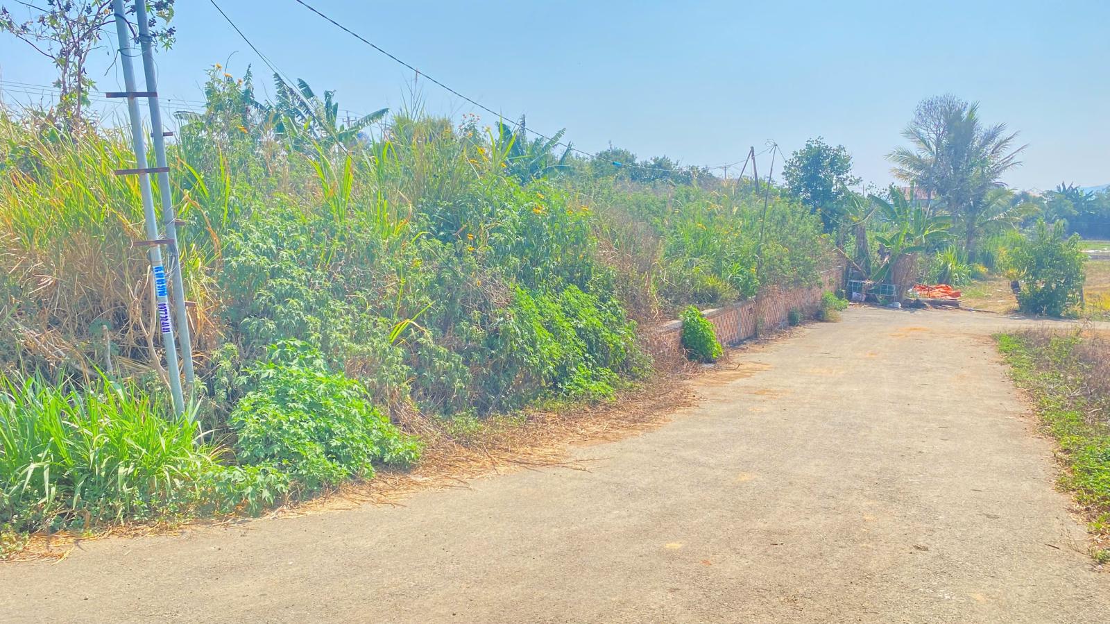 Đất mặt tiền DH3, liên nghĩa, đức trọng, lâm đồng, gần hồ nam sơn 15990200