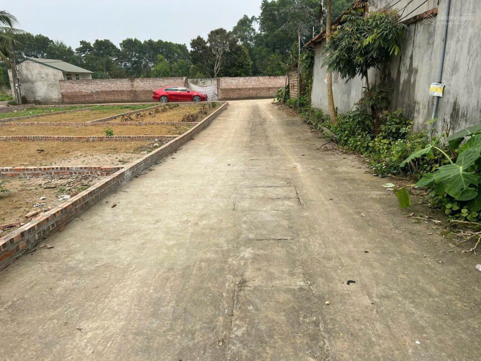 Cắt lỗ nhanh 200tr mảnh đất 68m2 tại Tân Xã, Hạ Bằng, Thạch Thất gần trường Đại Học FPT 15990203