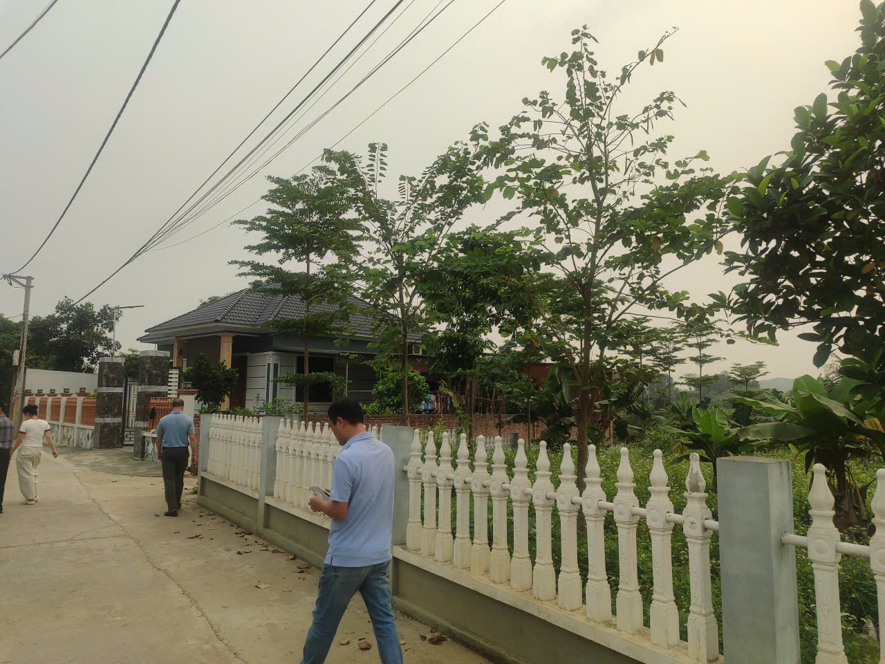 MUA LÀ THẮNG -SAI MÌNH ĐỀN. 15990231