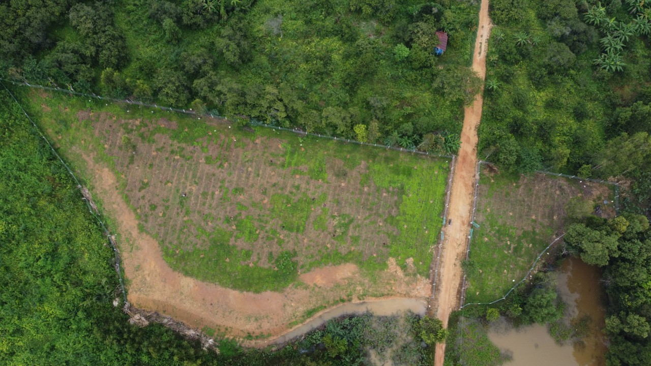 Đất Vườn Nghỉ Dưỡng View Hồ Trị An Xã Thanh Sơn Định Quán Đồng Nai 15990270