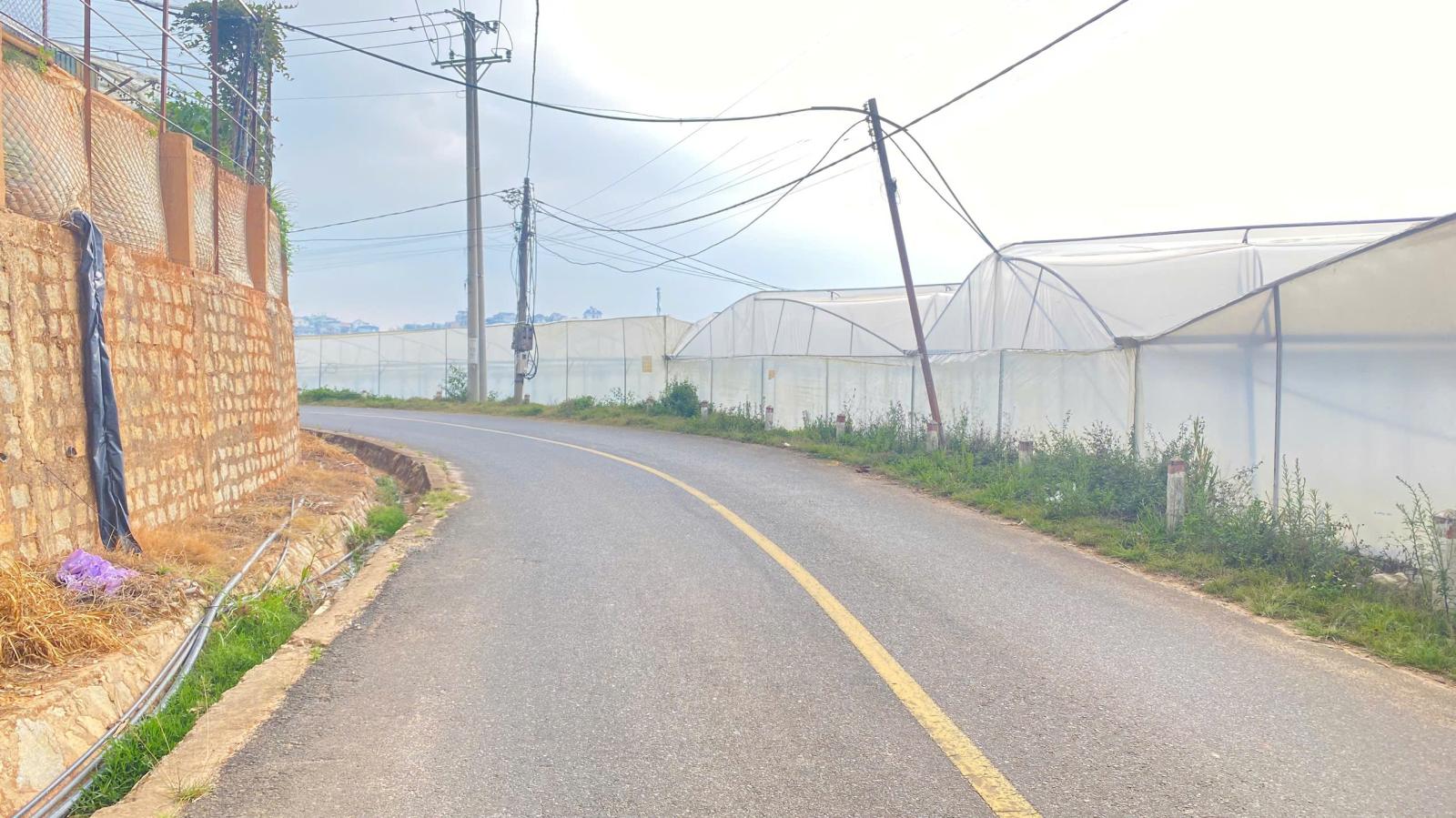 Bán 1 lô đất mặt tiền kim thạch, p7, đà lạt 15990520