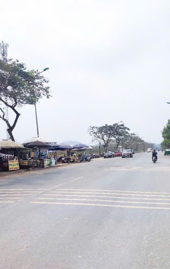 Bán đất tặng tiền cận Ga Metro vị trí đẹp sát Đại học Quốc gia 15990540