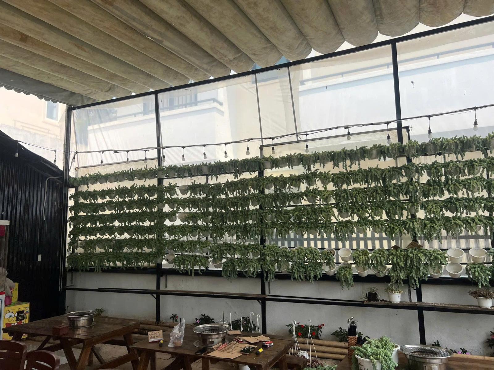 SANG NHƯỢNG QUÁN NHẬU BBQ SEN ĐÁ QUÁN TẠI ĐÀ LẠT, LÂM ĐỒNG 15990594