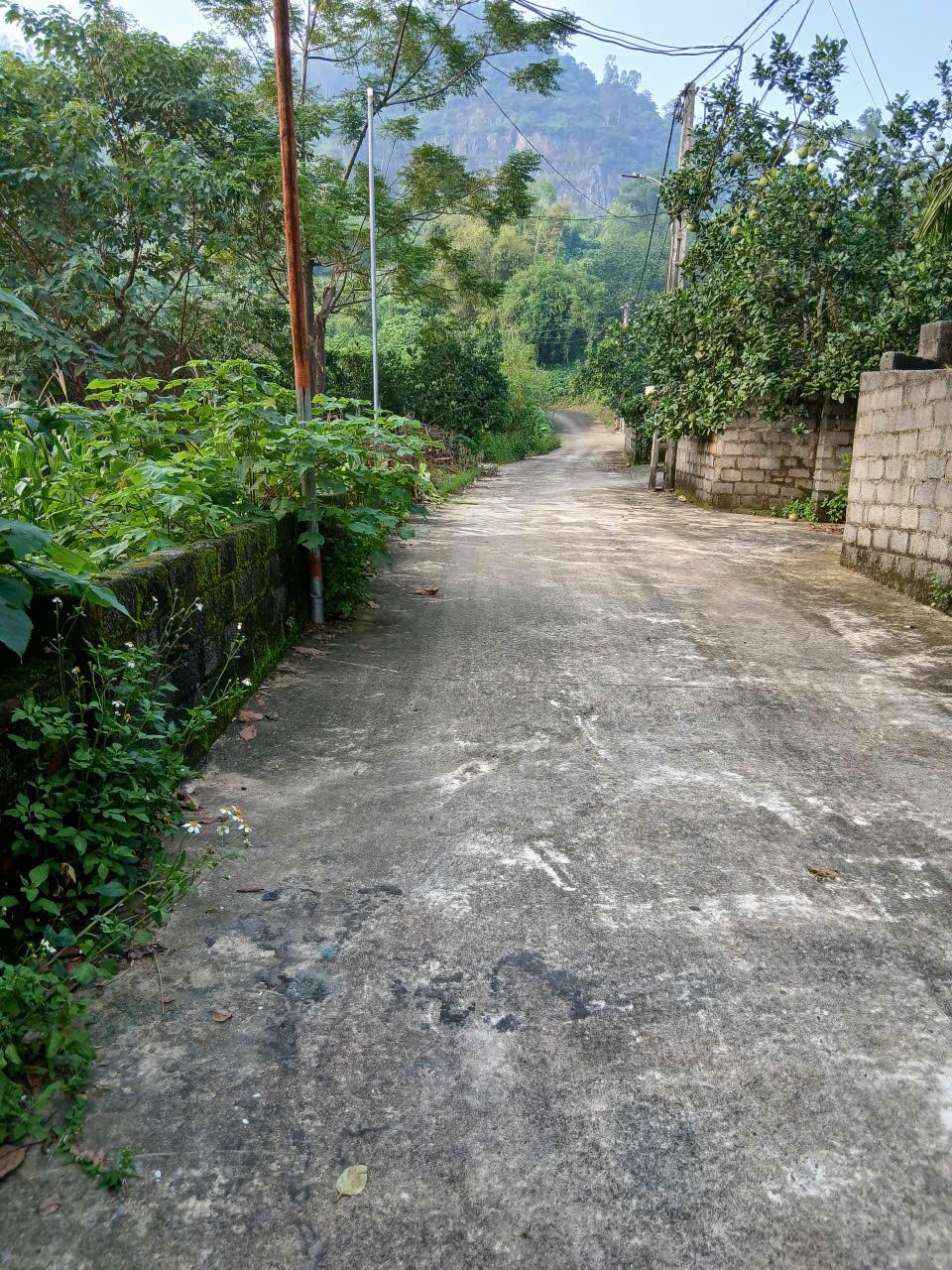 Bán đất diện tích lớn 360,2m² quốc oai giá siêu tốt 13,5tr/m² 15990601