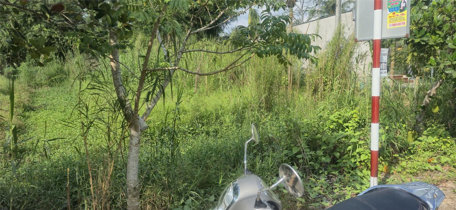 Đất Chính Chủ Mặt Tiền Đường Nhựa Ấp Phú Trí B1, Xã Phú Hữu, Châu Thành - Hậu Giang 15990607