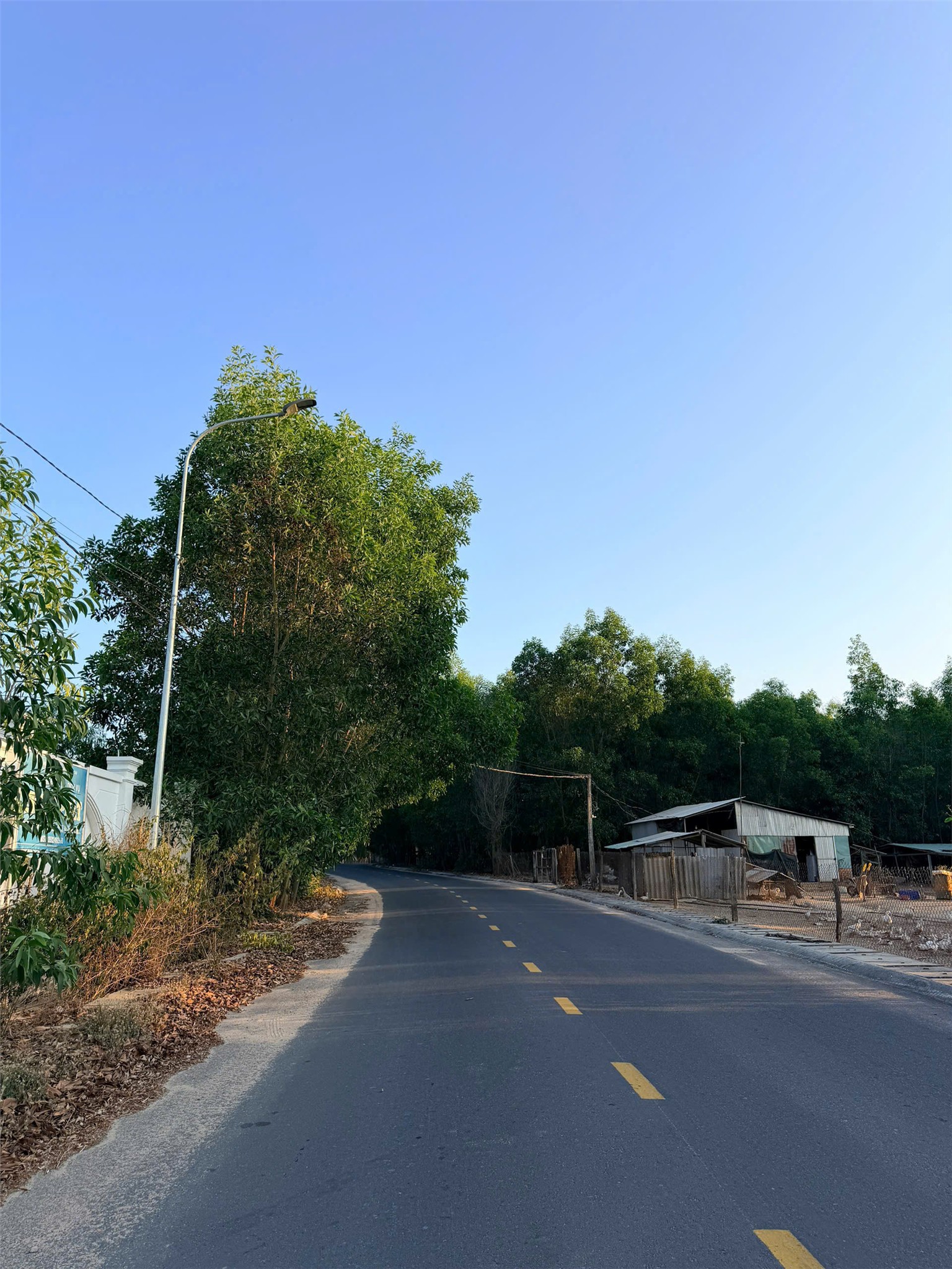 ĐẤT ĐẸP - MẶT TIỀN - Chính Chủ Bán Lô Đất Đường số 11 (Xã Tam Phước cũ) nay là xã Long Điền, TP.HCM 15990610