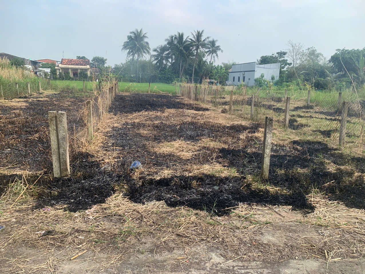 cần bán Nhanh lô đất nền 100% thổ cư Tại Xã Mỹ Lệ, Huyện Cần Đước, Long An 15990742