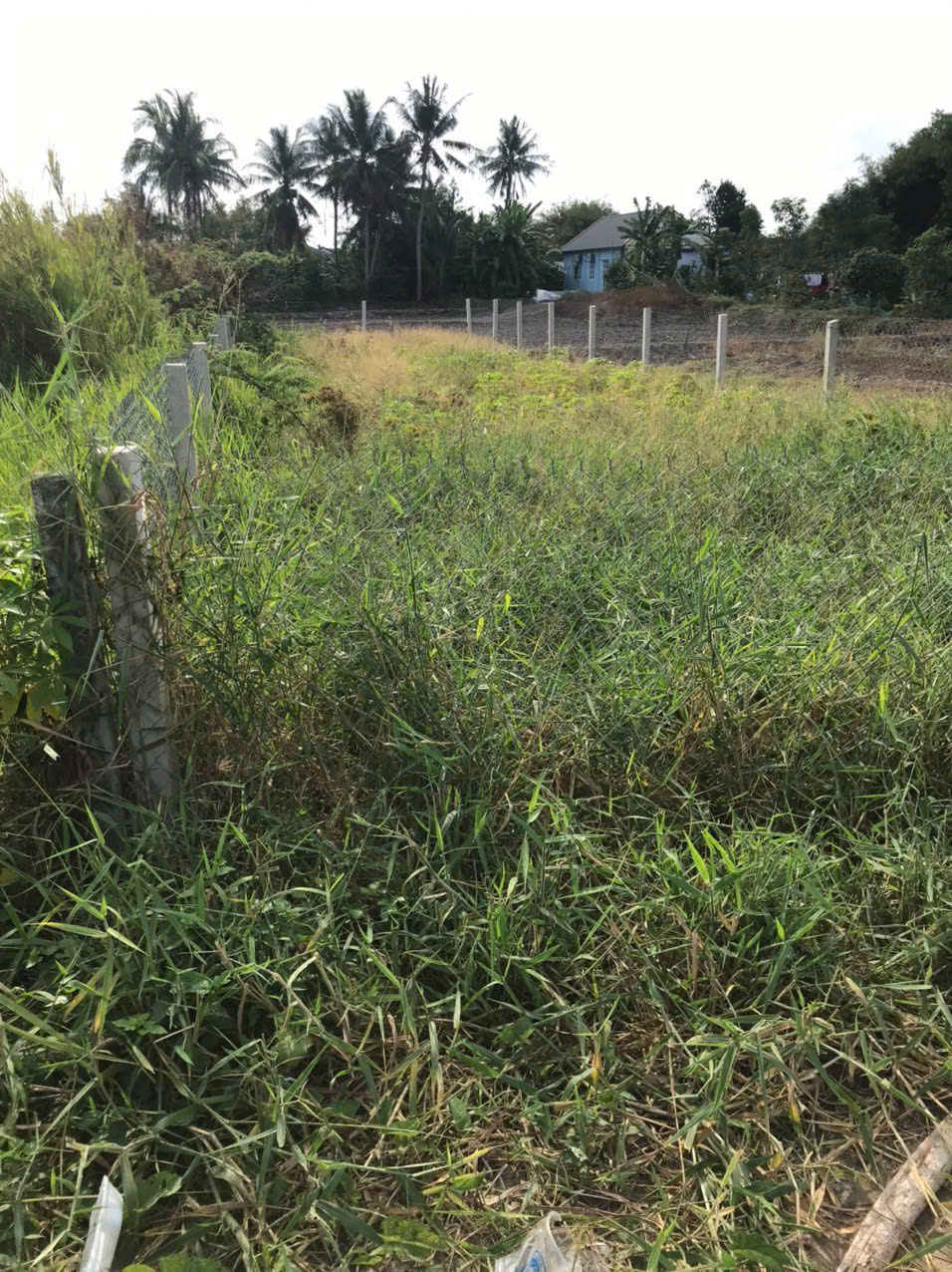 cần bán Nhanh lô đất nền 100% thổ cư Tại Xã Mỹ Lệ, Huyện Cần Đước, Long An 15990742