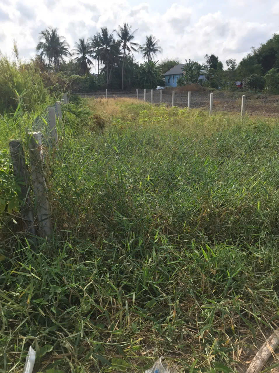 cần bán Nhanh lô đất nền 100% thổ cư Tại Xã Mỹ Lệ, Huyện Cần Đước, Long An 15990742