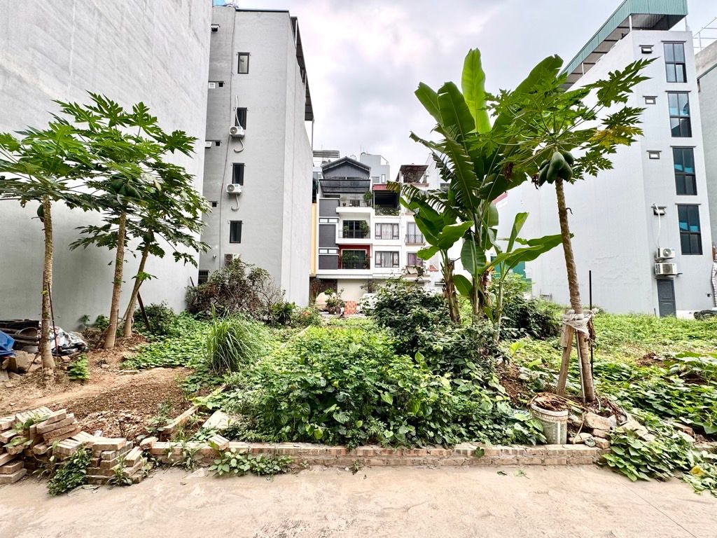 Bán đất TDC Ngọc Thuỵ 50m x 5m oto tránh thông kinh doanh 15990751