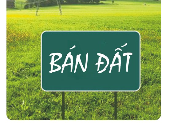 Bán lô đất 100m2 Mặt Tiền Đường Phù Lưu - phường Quảng Thắng - TP Thanh Hoá. 15990758