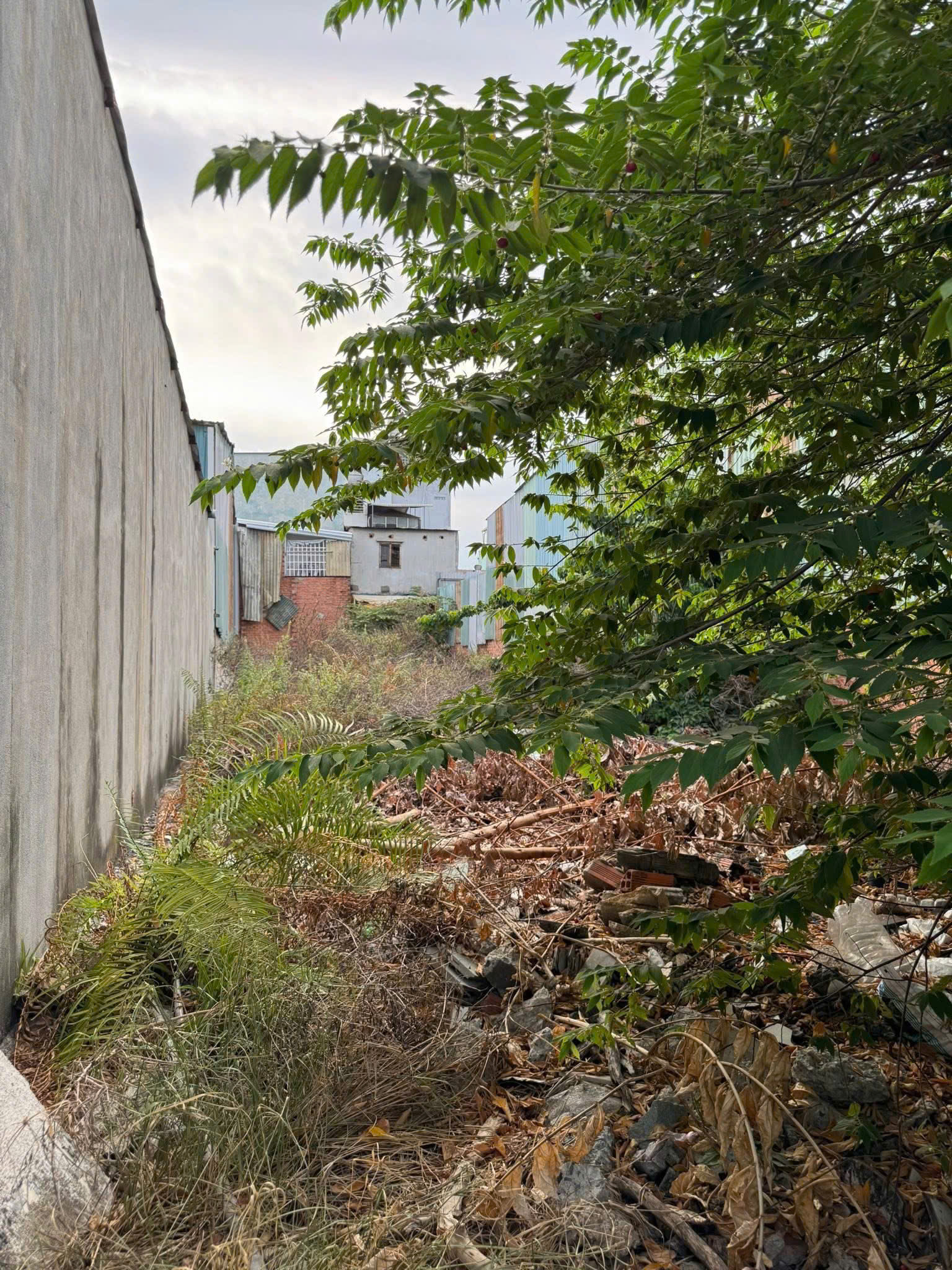 Bán Đất - Mặt tiền Lương Thế Vình - giao Lũy Bán Bích, Tô Hiệu, 8x36m, GPXD 8 tầng, 24,9 tỷ 15990783