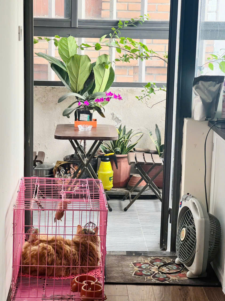 Cho thuê căn hộ chung cư Thanh Bình, 70m2 x 2 ngủ, 11 Triệu - Full đồ vào ngay 15990838