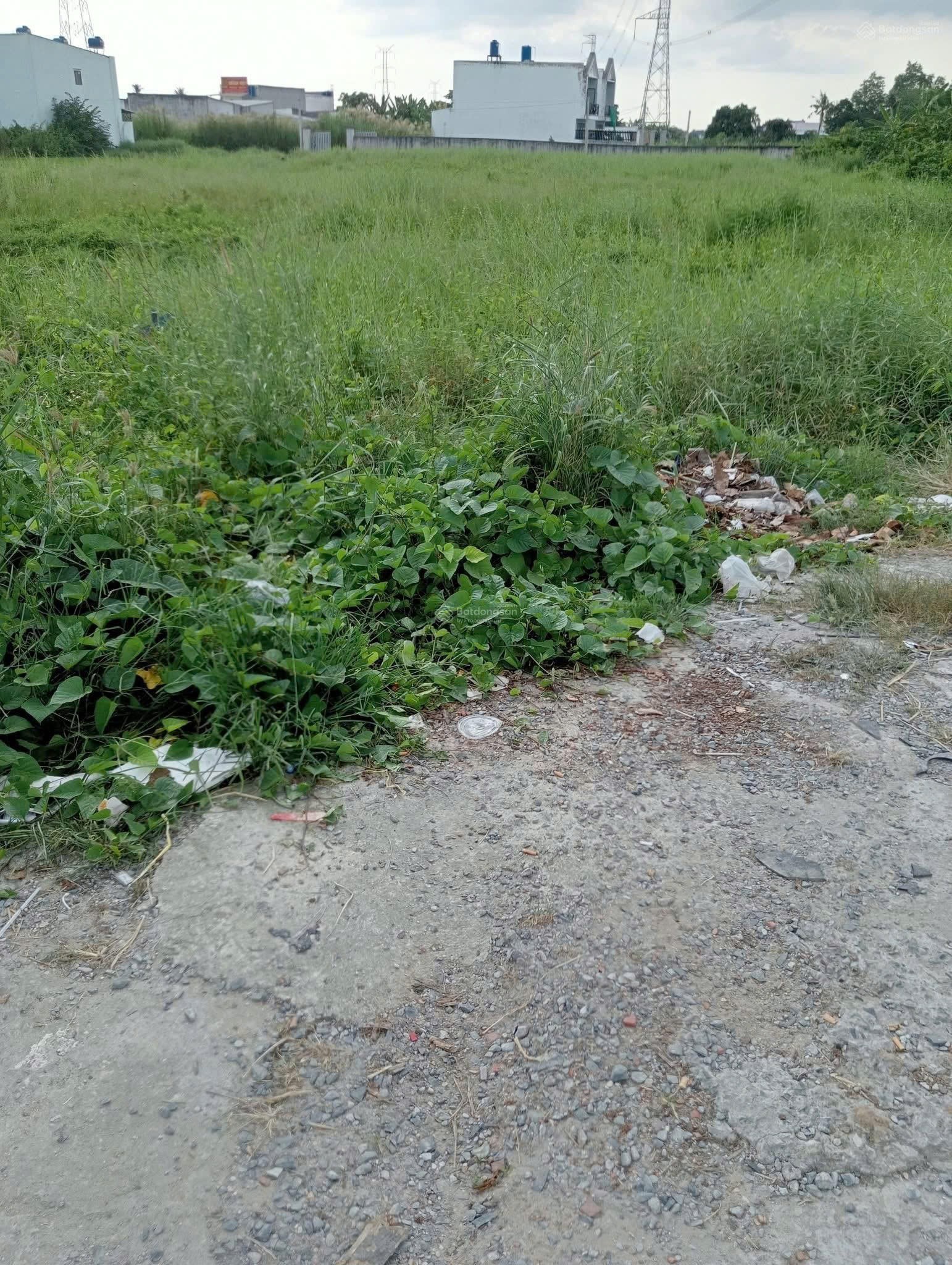 Chính Chủ Cần Bán Gấp ĐẤT THỔ CƯ - Diện Tích Lớn Mặt Tiền Huyện Cần Đước, Long An 15990845