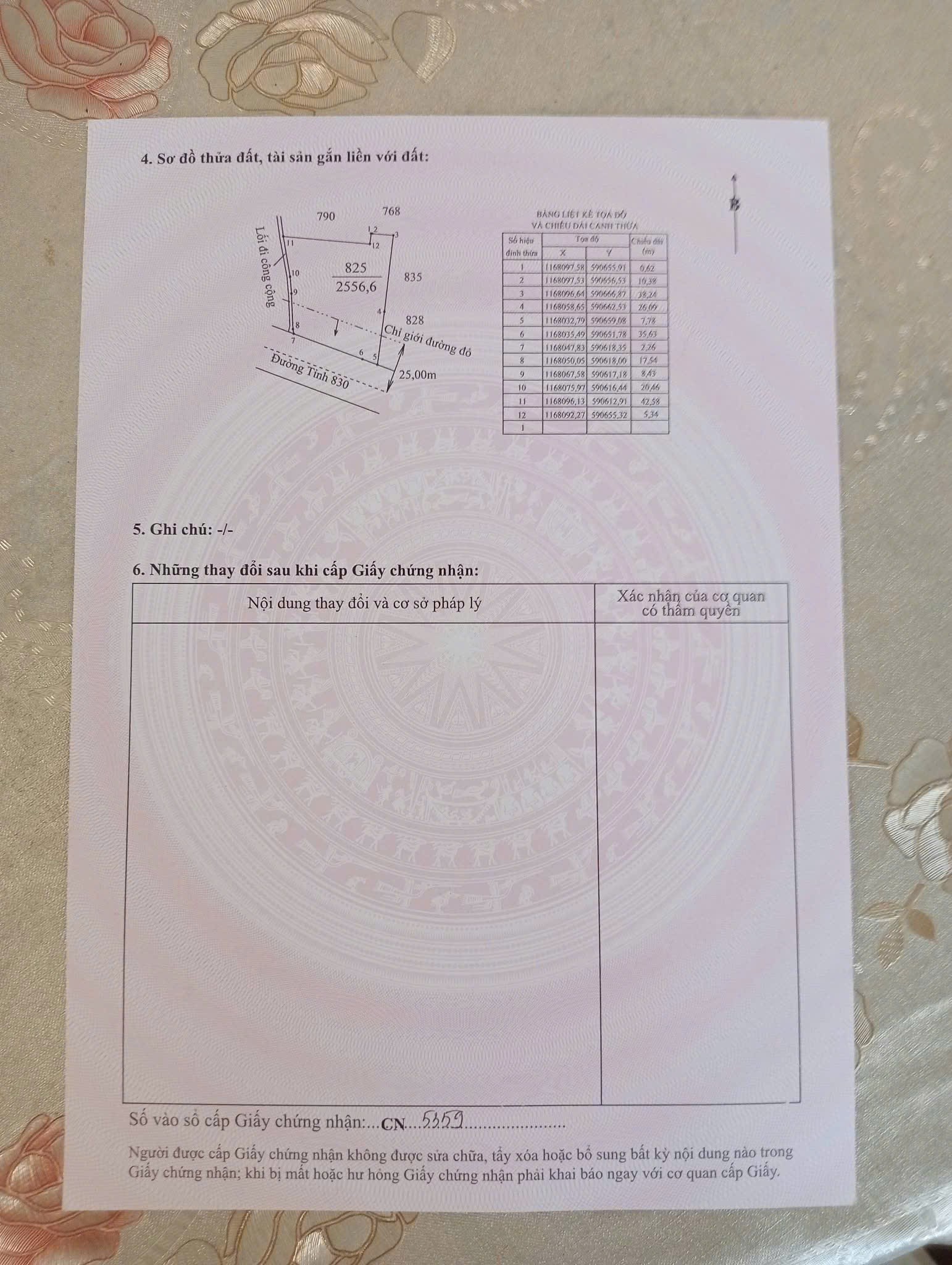 Chính Chủ Cần Bán Gấp ĐẤT THỔ CƯ - Diện Tích Lớn Mặt Tiền Huyện Cần Đước, Long An 15990845