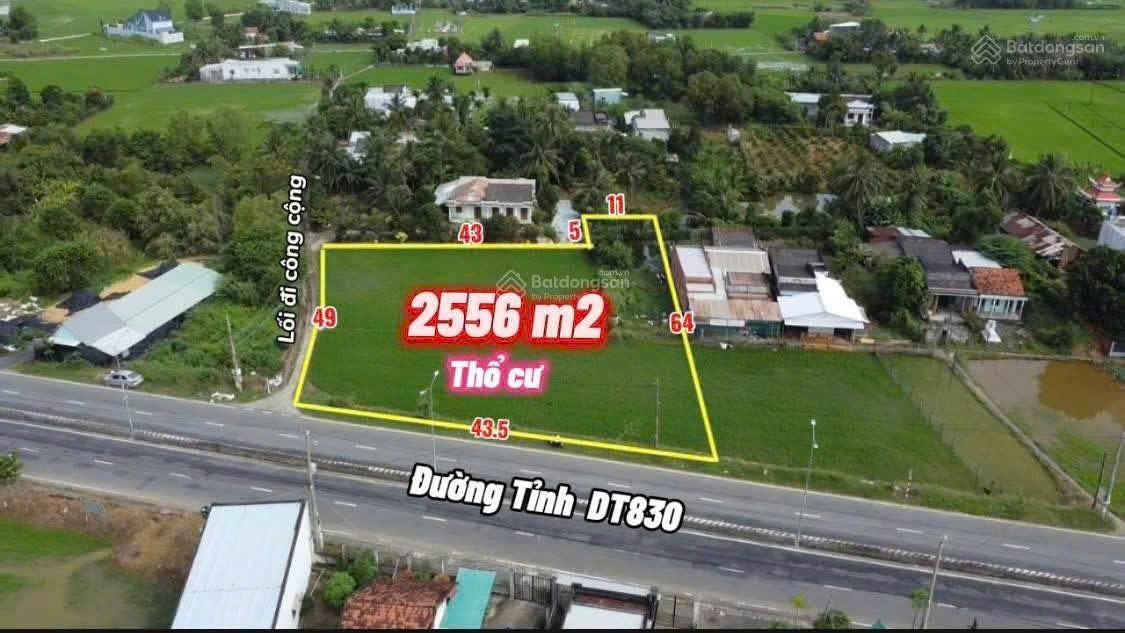 Chính Chủ Cần Bán Gấp ĐẤT THỔ CƯ - Diện Tích Lớn Mặt Tiền Huyện Cần Đước, Long An 15990845