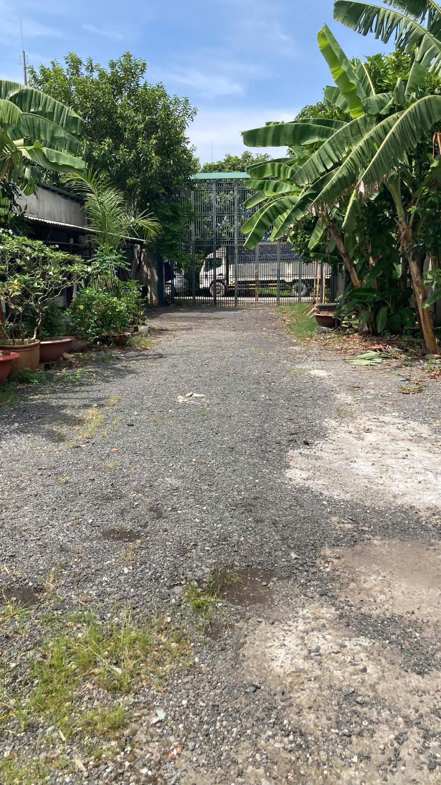 XƯỞNG 2 MẶT TIỀN XUÂN THỚI SƠN – 20x40M – FULL THỔ CƯ – GIÁ CHỈ 25 TỶ 15990882