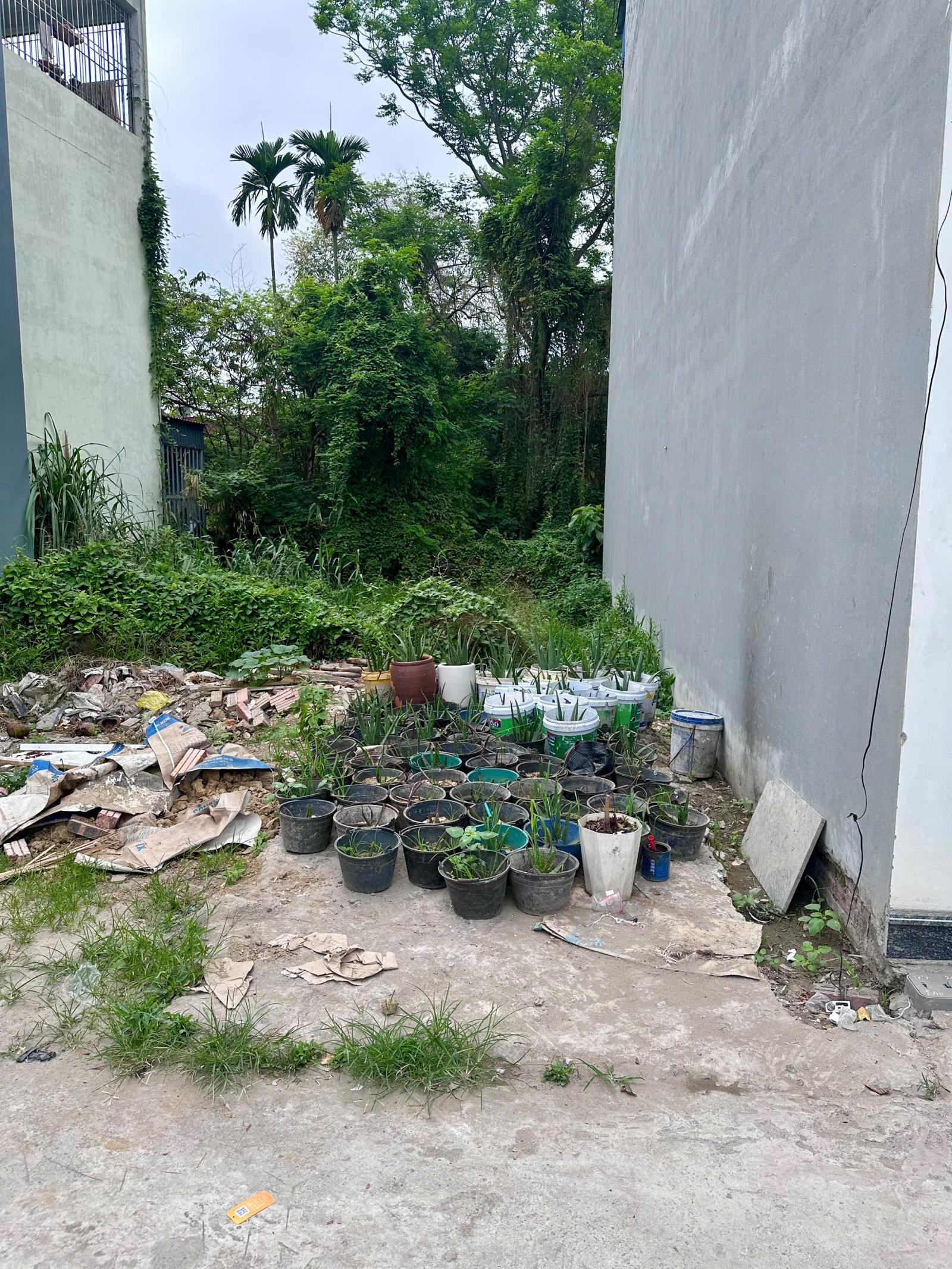 CHÍNH CHỦ CẦN BÁN LÔ ĐẤT TRUNG TÂM AN DƯƠNG, HẢI PHÒNG 15990988