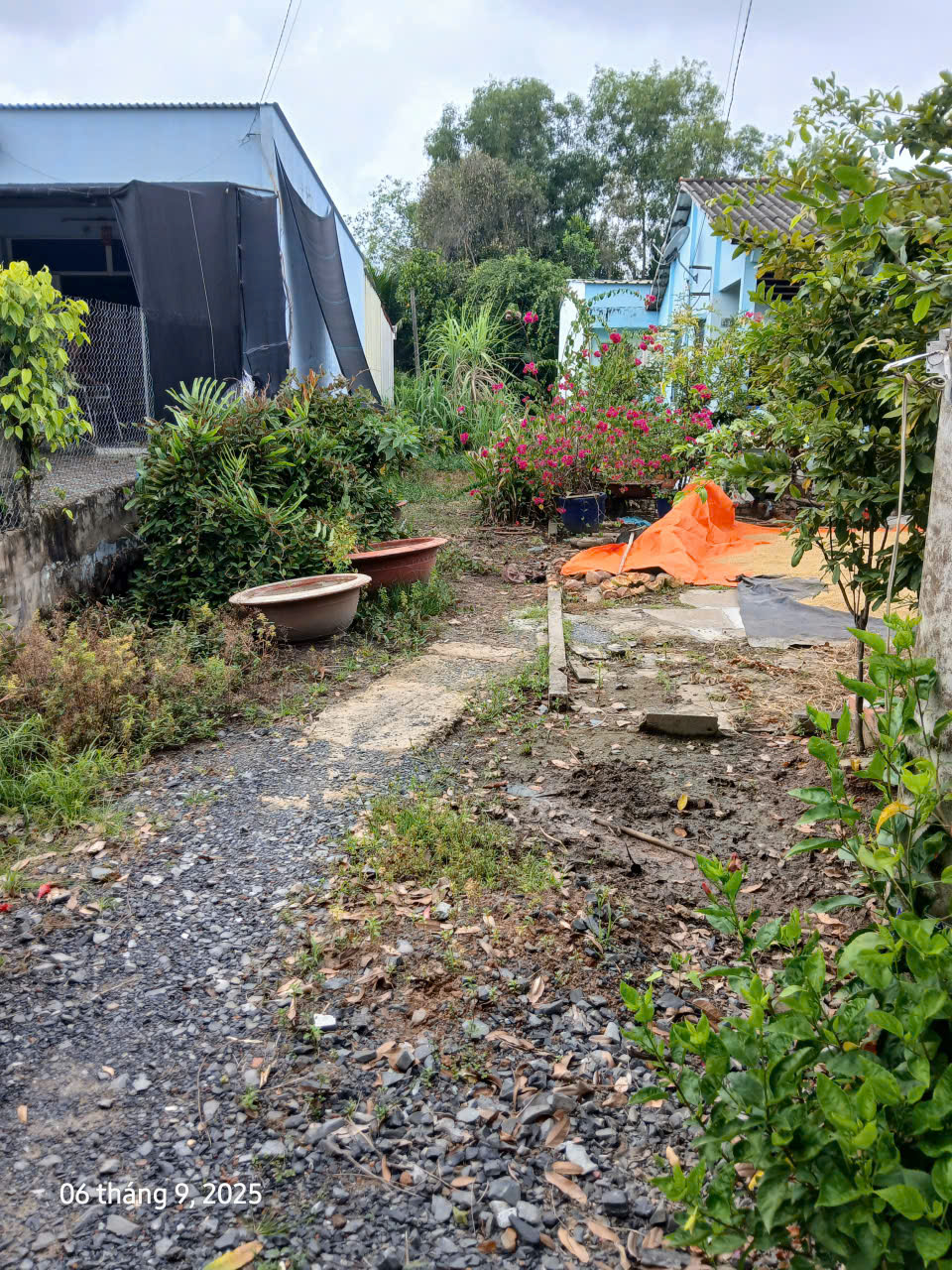 Bán đất mặt tiền đường kinh doanh (5×36m) 178m2. Có 133m thổ cư - Đường nhựa lớn 2 xe tải tránh 15991262