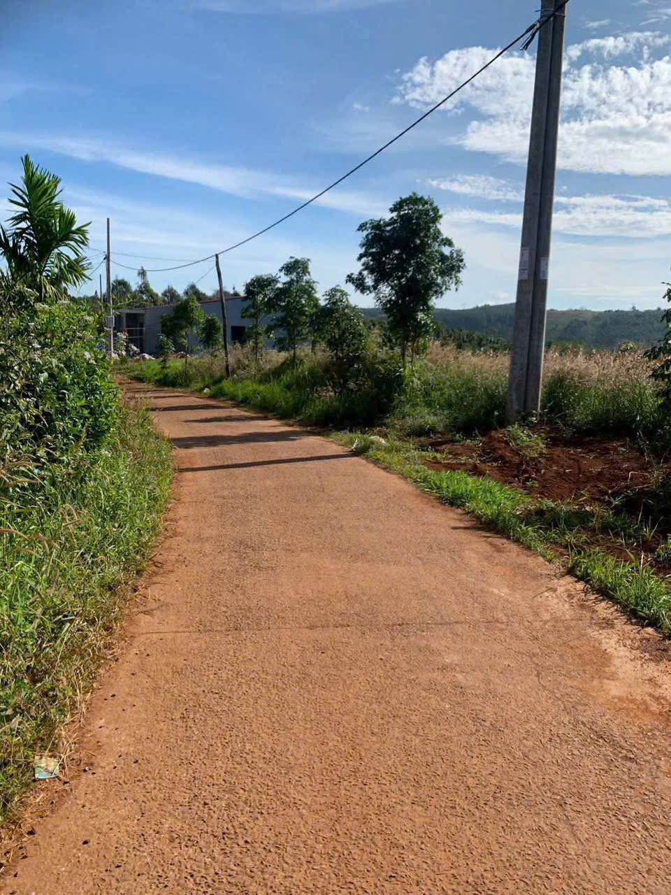 CHÍNH CHỦ CẦN BÁN LÔ ĐẤT ĐẸP – THÔN 6, ĐẮK HA   - ĐĂK NÔNG 15991283