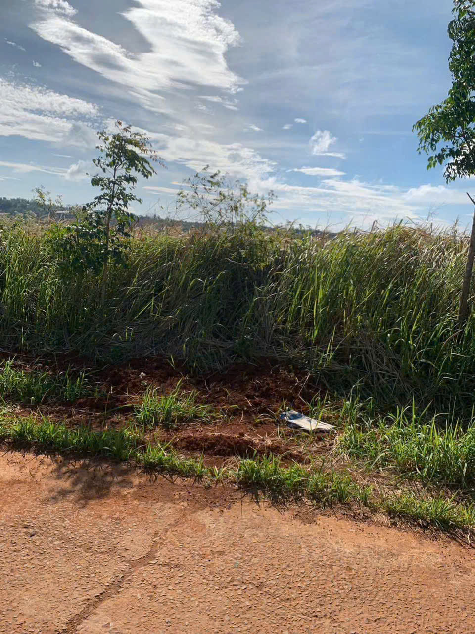 CHÍNH CHỦ CẦN BÁN LÔ ĐẤT ĐẸP – THÔN 6, ĐẮK HA   - ĐĂK NÔNG 15991283